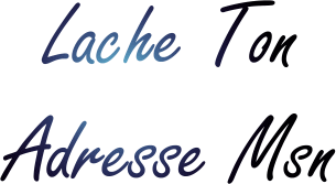 vasi lache ton adresse msn