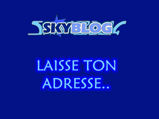 laisse ton msn ici
