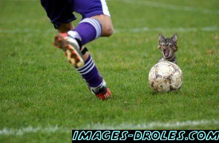 foot